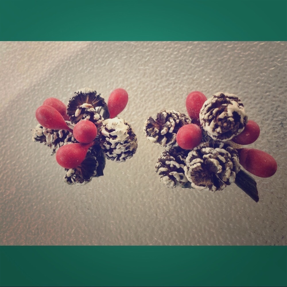 VTG MCM Snowy Pinecones Holly Berries Clip On Christmas Earrings
